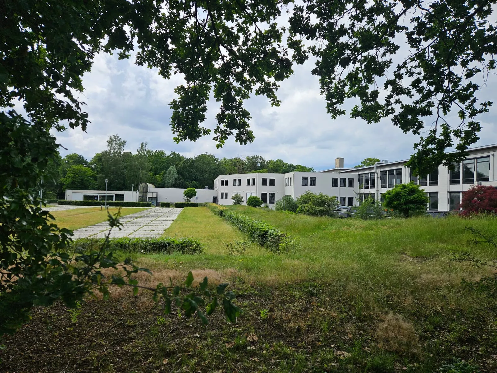 Het atelierpand tussen het groen